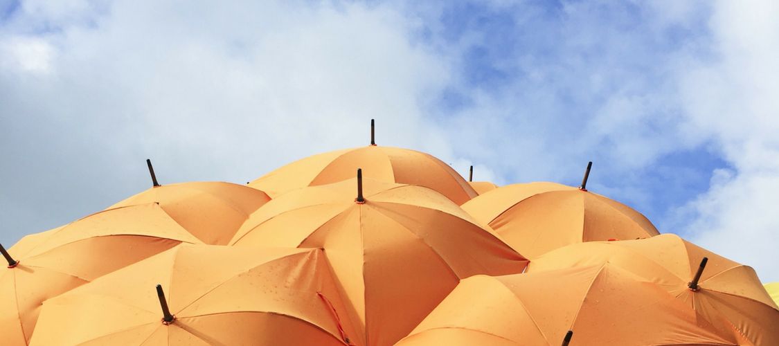 L’equilibrio energetico delle emozioni #perchèamolabioenergetica