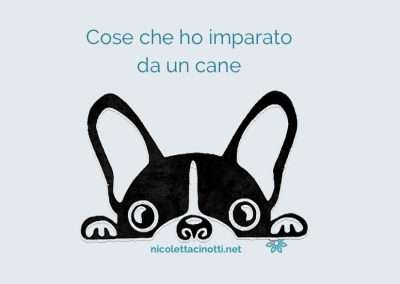 Cose che ho imparato da un cane