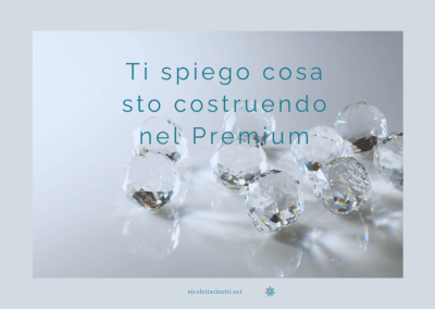 Ti spiego cosa sto costruendo nel premium